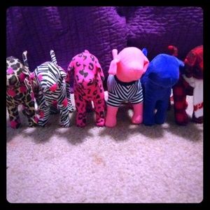 VS PINK dog's bundle